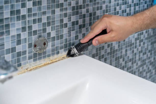 Best Home Mold Removal  in Security Widefield, CO